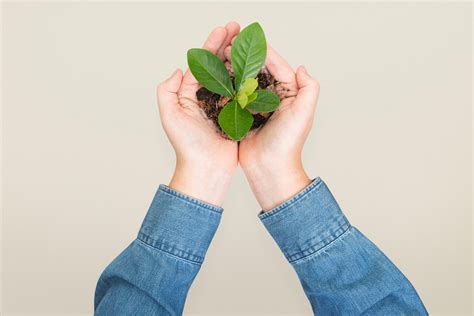 크라우드스트라이크: 디지털 시대의 보안과 혁신의 교차로